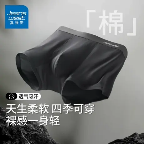 GV真维斯男士内裤抗菌纯棉透气裆男装四角短裤头正品2025新款K商品大图