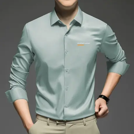 春秋季衬衫长袖男商务正装免烫抗皱轻熟风衬衣字母印花高级感寸衫商品大图