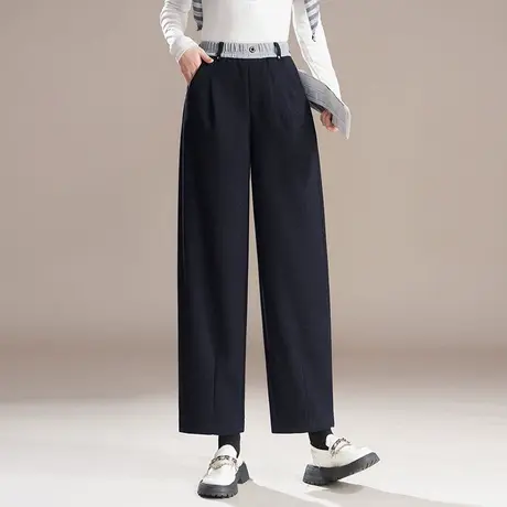时尚通勤哈伦裤女秋季2025新款宽松小个子宽松直筒裤九分休闲裤子商品大图