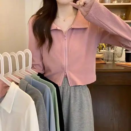 polo衫t恤长袖女装2023年秋新款短款设计感小众别致上衣正肩独特商品大图