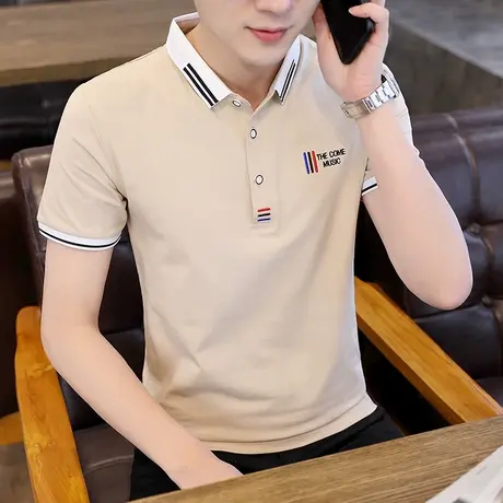 高端刺绣polo衫短袖T恤男夏季潮流冰感半袖休闲商务翻领上衣体恤商品大图