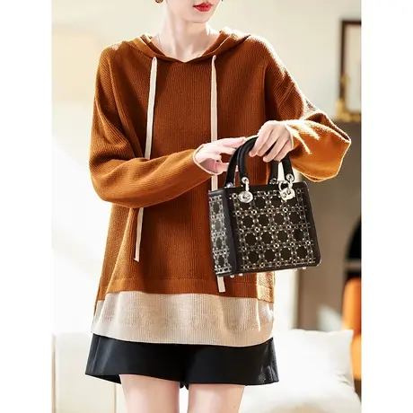宝诗黎连帽假两件慵懒针织衫休闲毛衣2024新款春季长袖打底薄上衣商品大图