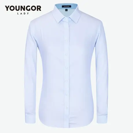 【商场同款】雅戈尔长袖衬衫女士商务工作棉弹DP免烫条纹衬衣3773商品大图