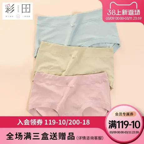 彩田正品女士夏季薄莫代尔棉混纺新款中腰抗菌底裆透气舒适三角裤商品大图
