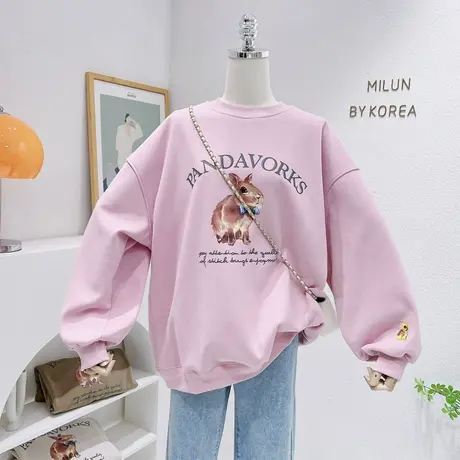 2022秋冬季款韩国东大门ins字母兔子加绒厚卫衣圆领上衣宽松保暖商品大图