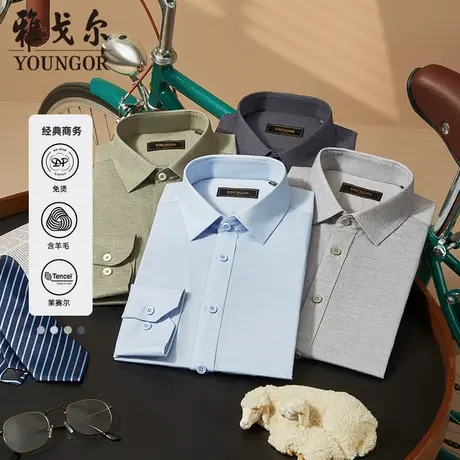 【棉羊毛DP免烫】D系雅戈尔衬衫冬季高端商务休闲保暖长袖衬衫商品大图