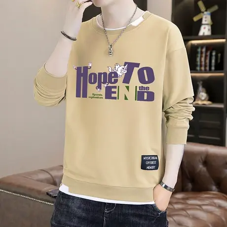 2024新款青少年春秋季长袖t恤男士卫衣初中高中学生帅气男装上衣商品大图