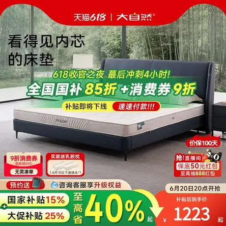 【热销】大自然偏硬山棕榈植物成人单双人席梦思床垫家用护脊椎商品大图