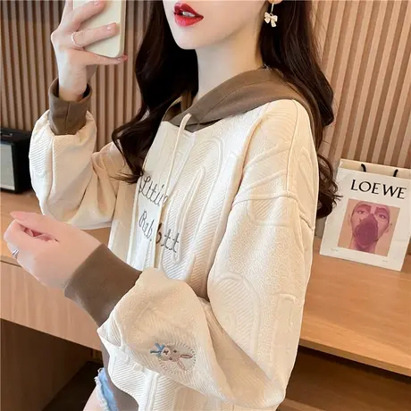 连帽卫衣女2023新款春秋韩版宽松薄款小个子百搭学生拼色带帽外套图片