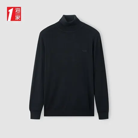 海一家基础休闲打底衫2023秋季新款高领日常舒适长袖针织衫男商品大图