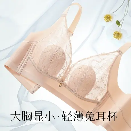 梦芭蒂大胸显小内衣女夏季超薄无钢圈收副乳女士文胸罩2025新款商品大图