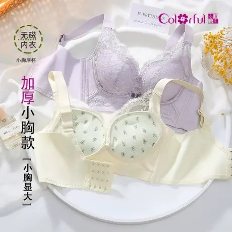 Colorful/多彩多姿内衣女小胸聚拢显大无钢圈加厚款侧收副乳文胸商品大图