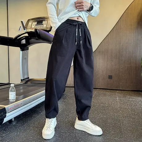 2025新款休闲裤秋季韩版休闲细条纹纯色修身百搭小脚裤哈伦裤卫裤商品大图