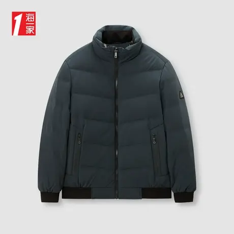 海一家简约休闲立领冬季保暖外套基础款日常舒适男士羽绒服图片