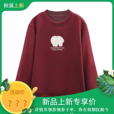 时尚休闲卫衣2023年冬季新款女套头百搭通勤宽松温柔一体绒上衣图片