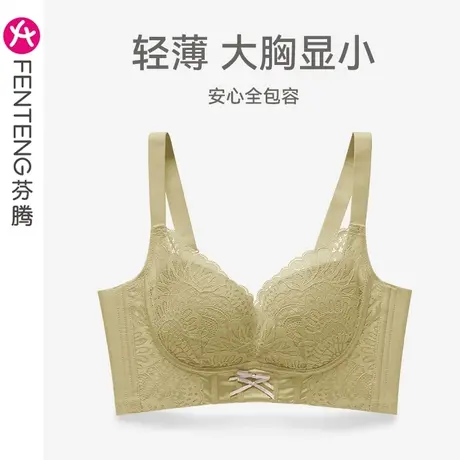 芬腾内衣女大胸显小上托防下垂提拉文胸性感蕾丝无钢圈收副乳胸罩图片