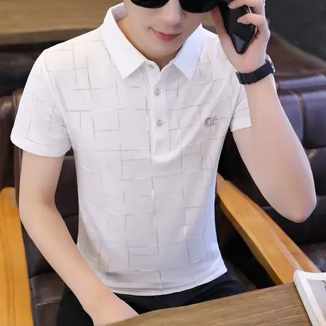 夏季翻领短袖t恤男士2023新款潮流休闲半袖格子休闲翻领体恤上衣商品大图