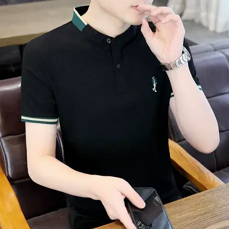 POLO衫男士短袖t恤翻领男装潮流2025新款夏季高端纯棉衬衫领体恤商品大图