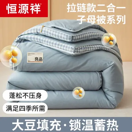 恒源祥大豆纤维被子冬被芯冬季加厚保暖棉被夏春秋单双人四季通用商品大图