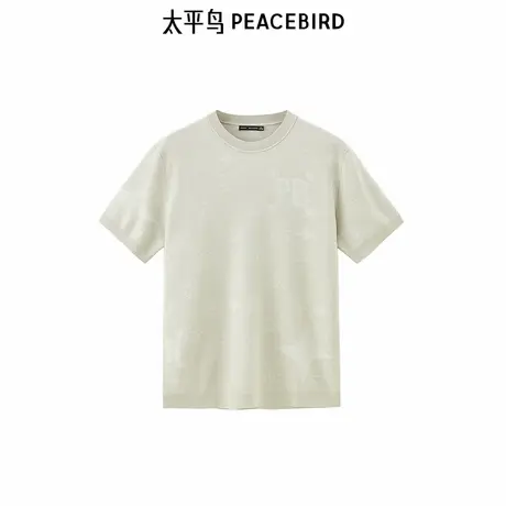 太平鸟男装 夏新款针织面料短袖t恤B1EEE2C06商品大图