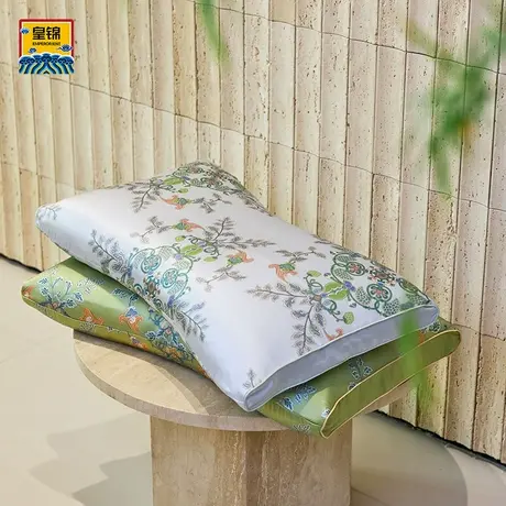 爱慕皇锦真丝印花银锭形PE软管枕头-敦煌硕果HJ11868商品大图