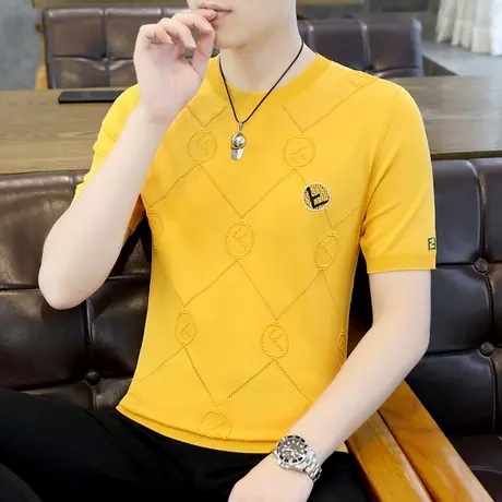 男款夏天薄款冰丝短袖t恤潮牌设计感提花高端凉感体恤半袖T上衣服商品大图