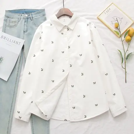 秋冬文艺小清新加绒加厚刺绣白色衬衫女长袖宽松百搭打底保暖衬衣图片