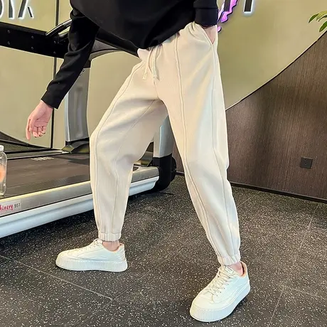 春秋季裤子男潮牌加厚小脚束腿裤春款男裤2023新款哈伦纯色休闲裤商品大图