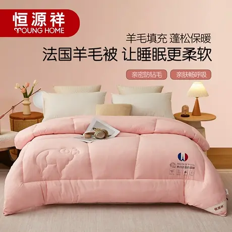 恒源祥正品法国进口100%羊毛被子加厚冬被春秋被芯保暖宿舍冬被商品大图