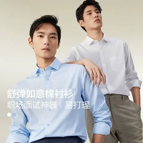 【好物体验专享】红豆衬衫春季弹力易打理大码男伴郎商务正装衬衫商品大图