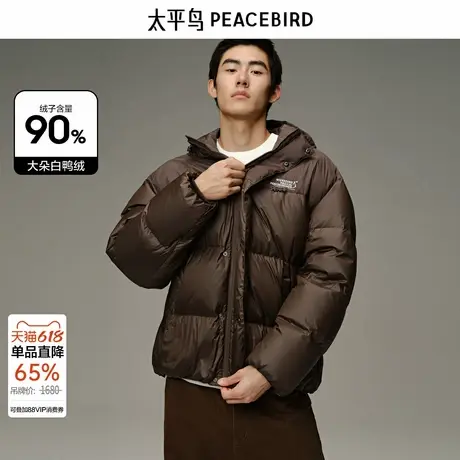 太平鸟男装 冬季新款羽绒服男士外套B1ACD4378商品大图