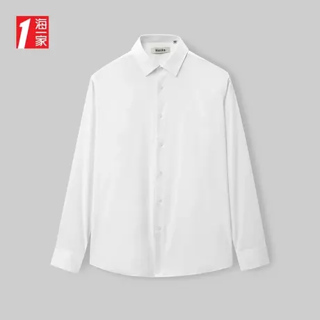 海一家正装商务长衬2023秋季新款简约大方舒适修身长袖衬衫男商品大图