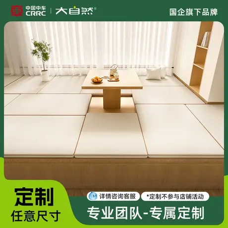 【新】大自然E0飘窗垫窗台垫子支持异形定制山棕内芯阳台垫图片