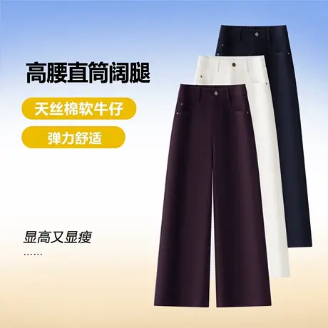 高腰天丝棉牛仔直筒裤春秋新款通勤百搭长裤休闲显瘦舒适阔腿裤商品大图