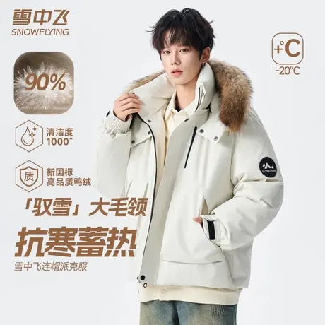 雪中飞2025新款户外山系羽绒服外套男冬季保暖工装机能派克服男装商品大图