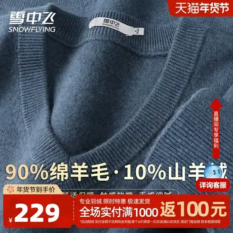 雪中飞V领休闲简约10羊绒套头上衣男春季保暖内搭舒适男式羊毛衫W图片