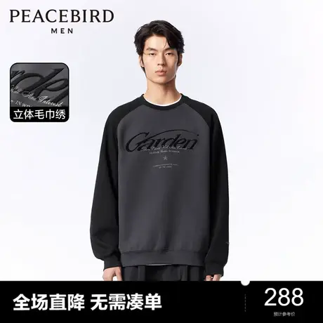 太平鸟男装 2024年春季新款圆领刺绣重磅卫衣男士宽松毛巾绣上衣图片