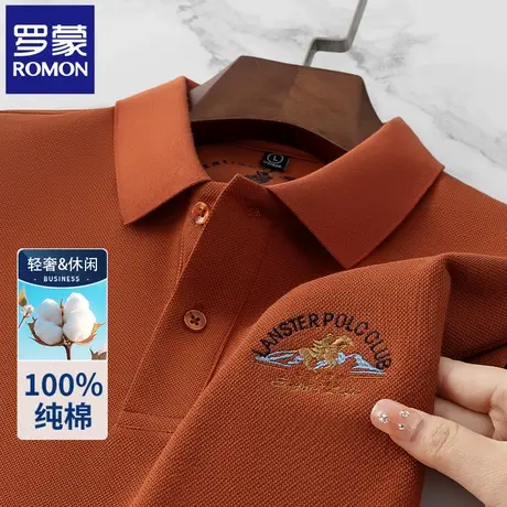 罗蒙高端休闲刺绣POLO衫男士短袖t恤夏季薄款纯棉翻领半袖上衣N2Z商品大图