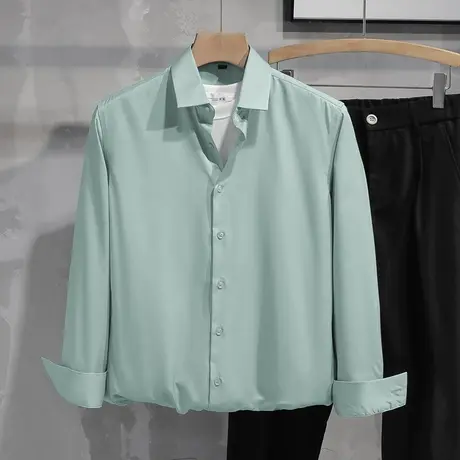 男士衬衫长袖春秋季免烫抗皱纯色休闲衬衣商务正装高级感修身寸衫图片