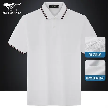 七匹狼狼族生活高端男士T恤短袖夏季刺绣翻领弹力棉商务Polo衫男商品大图