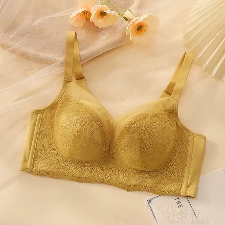 依曼丽品牌专柜正品小胸聚拢调整型文胸性感收副乳防下垂内衣女商品大图