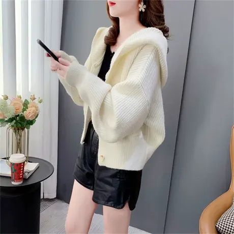 短款小个子连帽针织开衫女春季2023年新款韩版宽松设计感毛衣外套商品大图