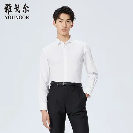 【商场同款】雅戈尔男士衬衫春季新款官方商务休闲长袖衬衫S2831图片