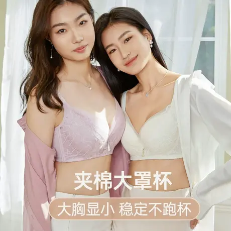 【大包裹不跑杯】依曼丽夏季薄款内衣女大胸显小聚拢蕾丝法式文胸商品大图
