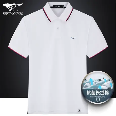 七匹狼狼族生活抗菌棉短袖T恤男2023夏季新款刺绣纯色翻领Polo衫图片