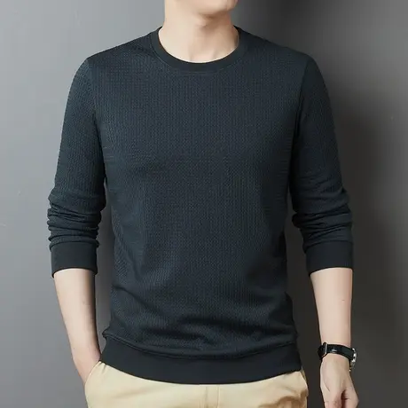 秋季t恤男长袖薄款春秋卫衣内衣圆领中年多色打底衫宽松套头外搭图片