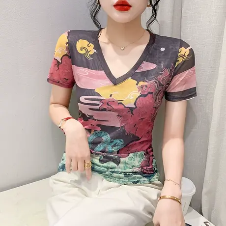 气质女装2023新款性感V领网纱T恤短袖拼色印花小衫显瘦别致上衣夏商品大图