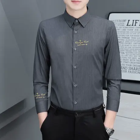 灰色衬衫男款长袖职业免烫商务2023春秋装休闲正装男士正装白衬衣商品大图