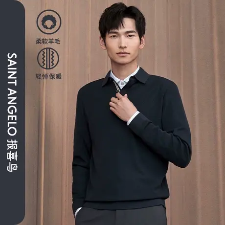 【POLO领毛衫】报喜鸟男士秋季新款商务休闲羊毛衫长袖毛衣毛衫男图片
