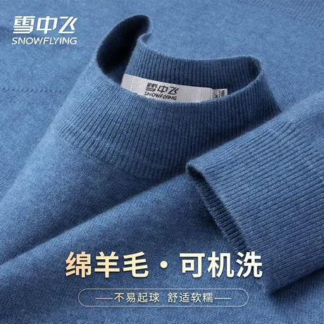 【直播闪降】雪中飞26春装纯色舒适内搭温暖男士羊毛衫毛衣圆领W图片